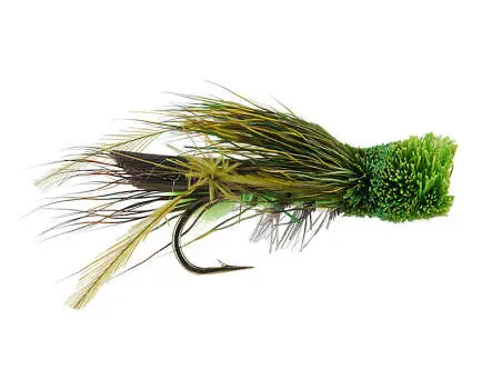 Green Cicada 8