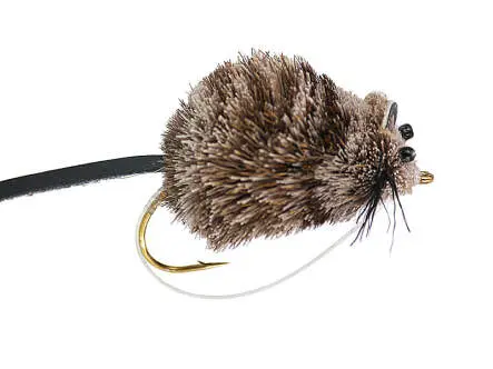 Grey Mouse 6