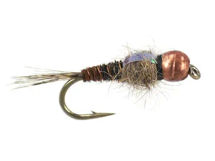 TG Wb Pheasant Tail 14
