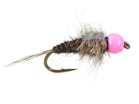 TG Red Neck Pheasant Tail 14
