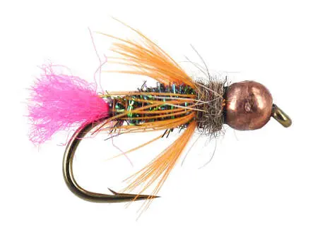 TG Trout Scare 10