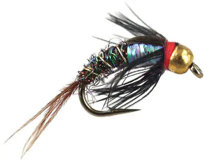 Ales TG Rainbow Pheasant 10