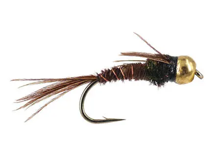Peacock Pheasant Tail TG 14