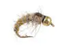 Gold Ribbed Hares Ear TG 12