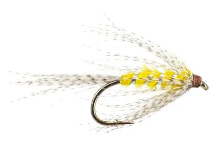 Gray Spider 14