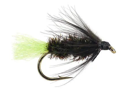 Peacock Spider Green Tag 12