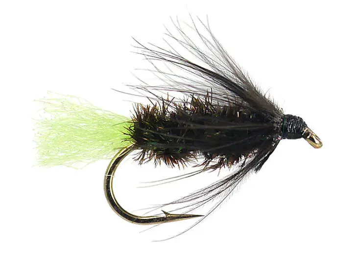 Peacock Spider Green Tag 16