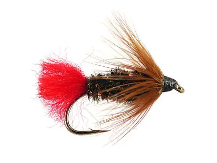 Brown Hackle Peacock 12
