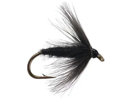 Black Spider 10