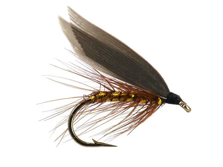 Wickhams Fancy 16