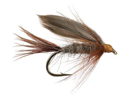 March Brown 12