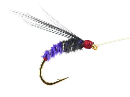 Gold Selection BI Violet 16