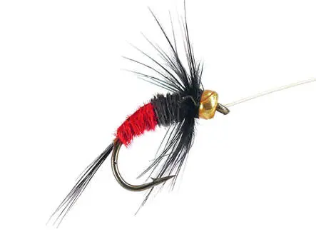 Rienz Premium BI Red 14