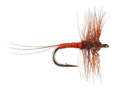 Small Red Allrounder 22