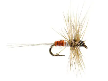 Petras Secret Dry 18