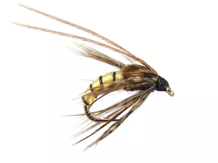 Caddis Pupa Cream