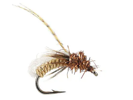 Gallatin Glo Pupa - Spotted Sedge 14