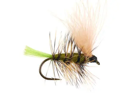 S7 Skating Sedge 01 12