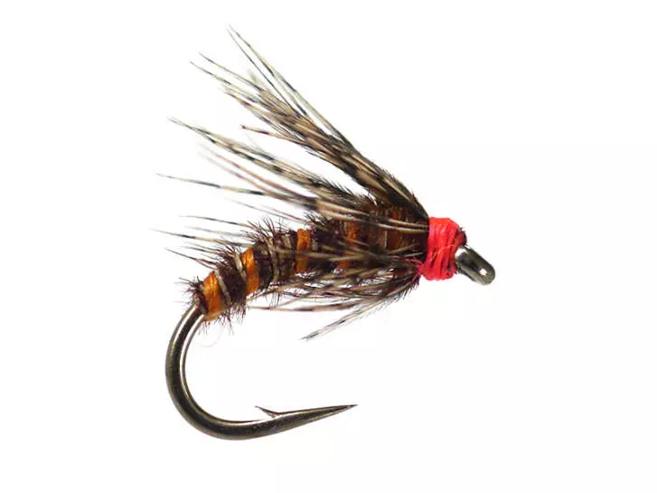 Bwo Spider