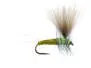 Bwo Dun 01