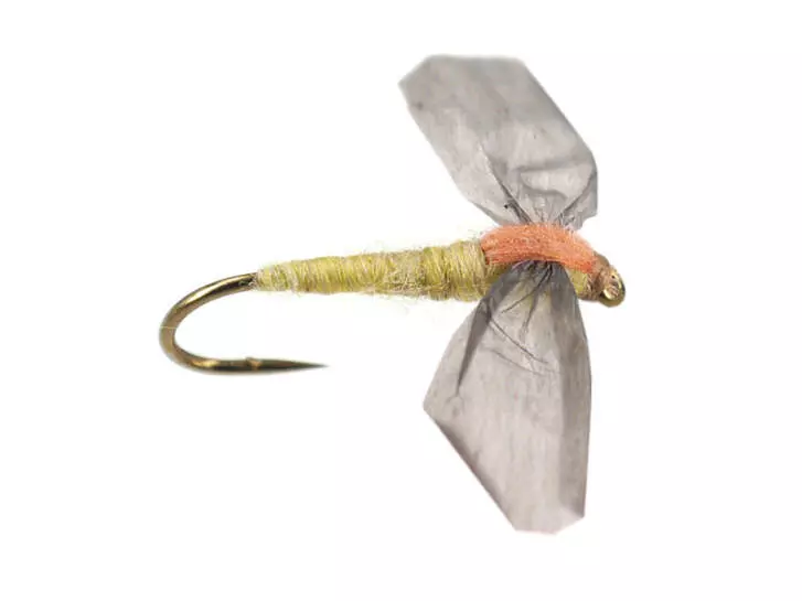 Olive Cripple - Pale Olive