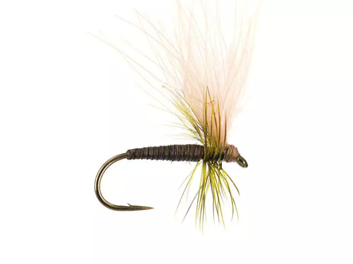 Olive Quill CDC - Medium Olive