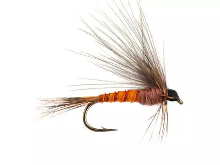 H-Drift Dun - Brown-Yellowish