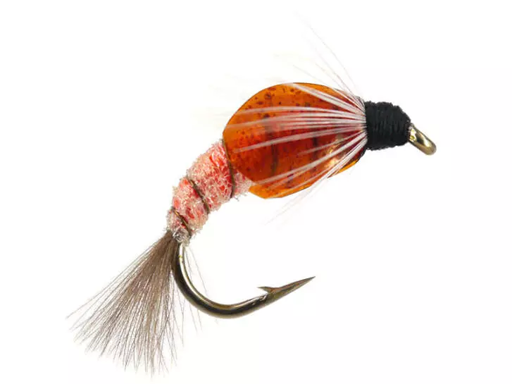 TG Caddis Pupa Color Factor - Orange Fluo