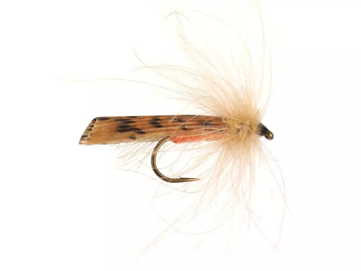 S1 Sedge - Brown
