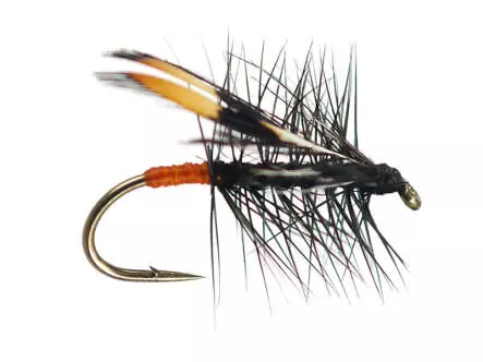 G2 Grayling Rassid