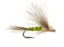 Bwo Transition Dun 16