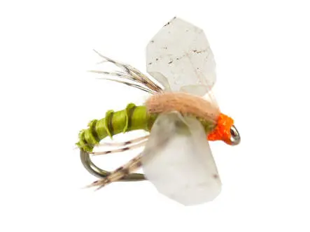 Bwo Cripple 01 16
