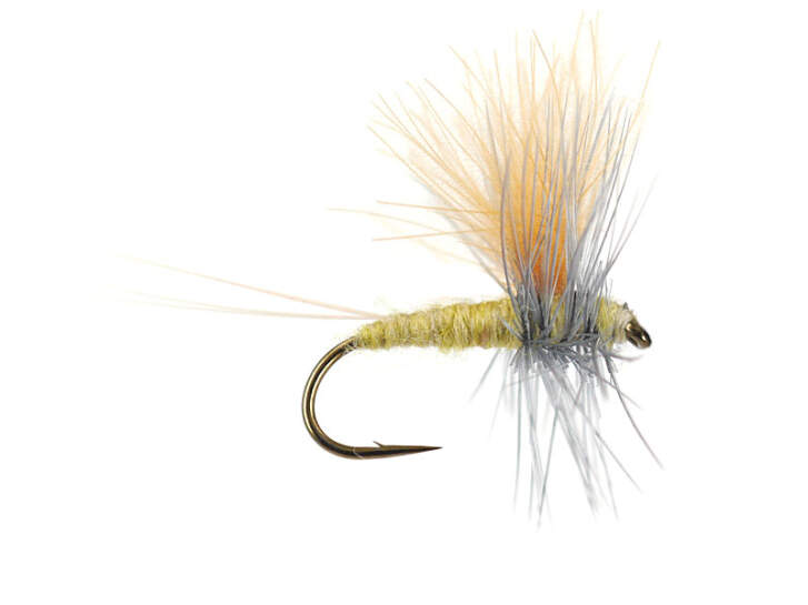 Olive Dun Cut Thorax - Pale Olive 16