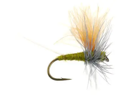 Olive Dun Cut Thorax - Medium Olive 16