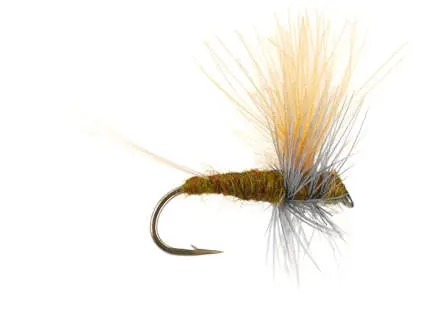 Olive Dun Cut Thorax - Dark Olive 14