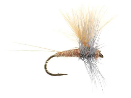 Olive Dun Cut Thorax - Iron Blue 16