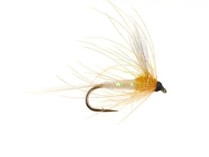 Olive Spinner - Amber 16