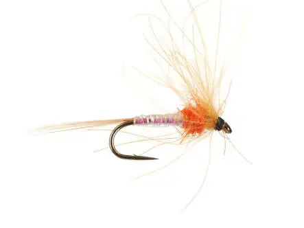 Olive Spinner - Orange 18