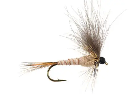 H-Drift Dun - Tan-Yellowish 14