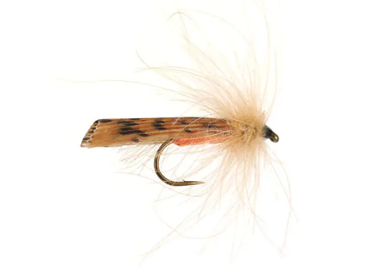 S1 Sedge - Brown 10