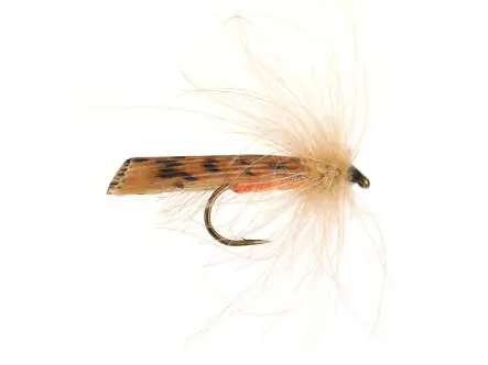 S1 Sedge - Brown 14