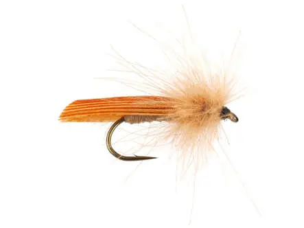 S1 Sedge - Cinnamon 10