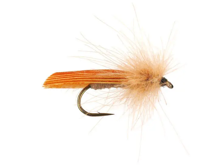 S1 Sedge - Cinnamon 14