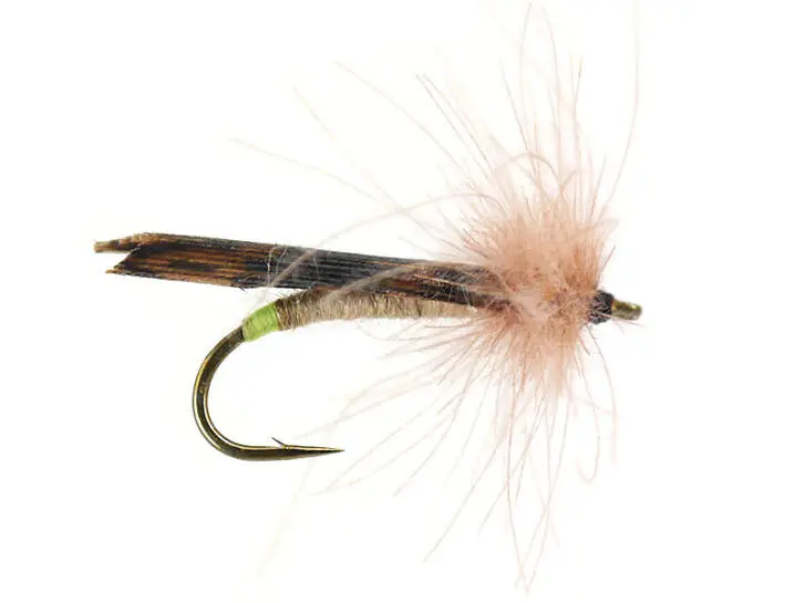 S2 Brown Sedge - Brown 10