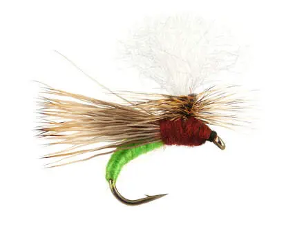 S10 Transition Fast Water - Green 10