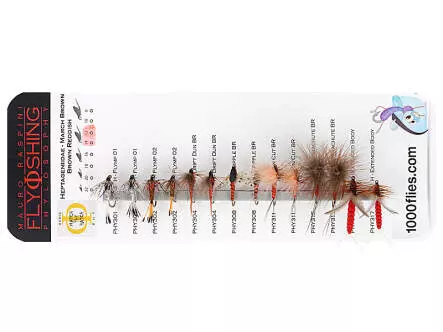 Set Heptageniidae (March Brown - Red) - L - 14 Fliegen
