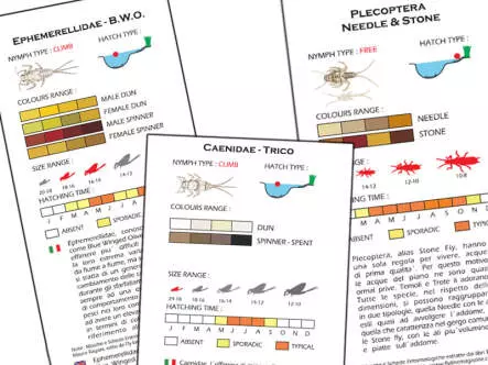 Set Heptageniidae (March Brown - Red) - L - 14 Fliegen