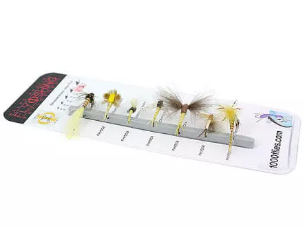 Set Ephemeridae (May Fly) - XXL - 7 Fliegen