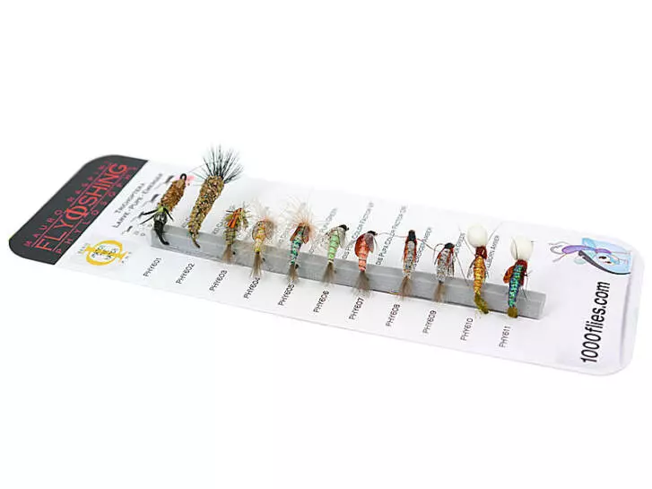 Set Trichoptera (Larve - Pupe - Emerger) - L - 11 Fliegen