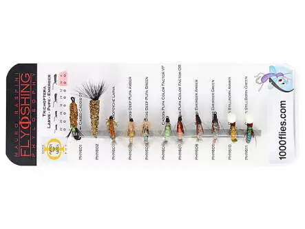 Set Trichoptera (Larve - Pupe - Emerger) - L - 11 Fliegen